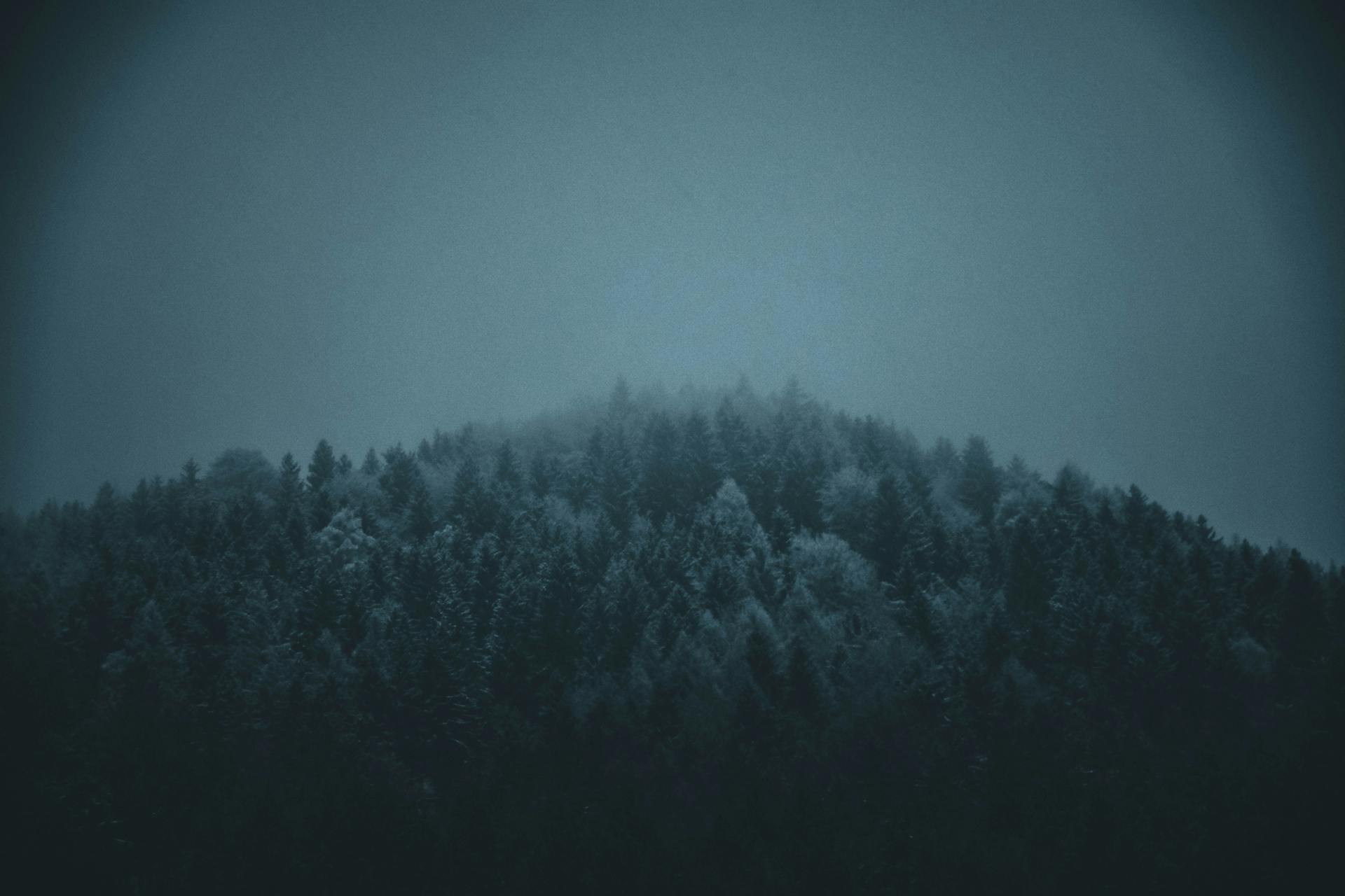 Étoiles nocturnes - guidance